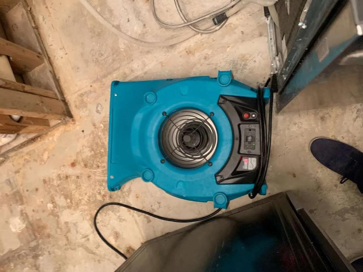 Air mover drying equipment for Mold Remediation & Removal in Killingly
